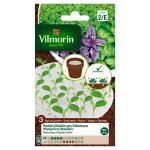 Aromatiques - Basilic - Tapis de graines - 3 cm x 10 cm (x3) - face recto